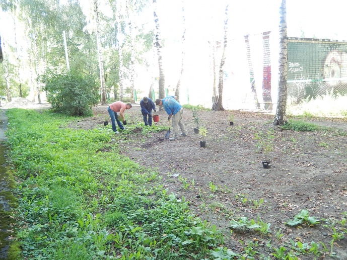 01.09.2017: Озеленение территории ул. Ляпидевского, д.21 по просьбе жителей