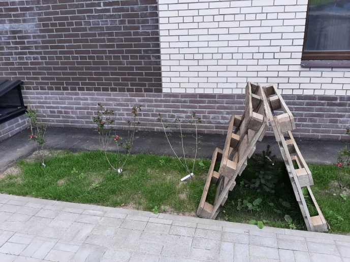 25.05.2021 г. Озеленение, благоустройство территории